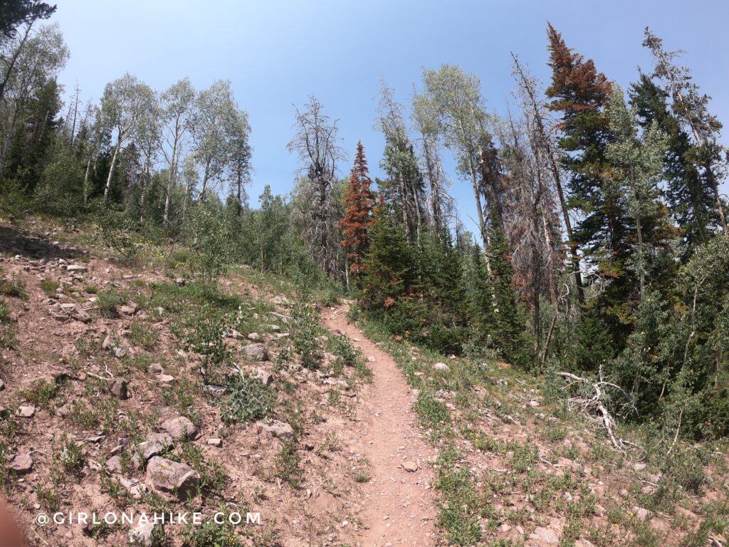 Hiking to Bourbon Lake, Uintas