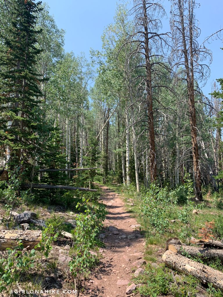  This trail is officially called The Whiskey Trail, which leads to Bourbon Lake.