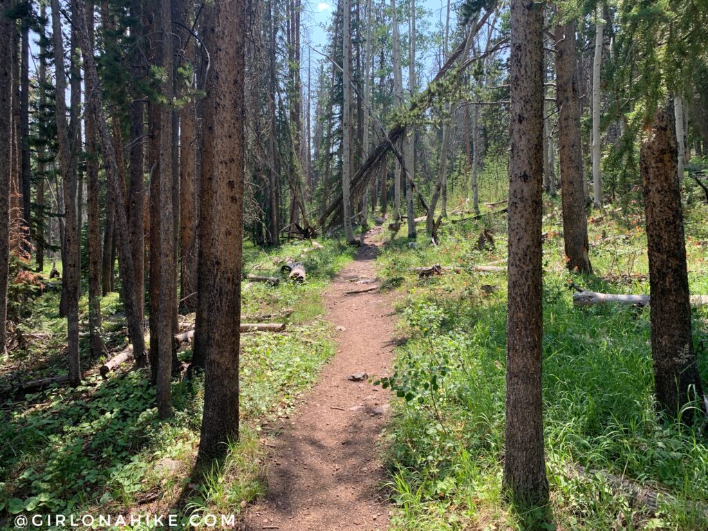  This trail is officially called The Whiskey Trail, which leads to Bourbon Lake.