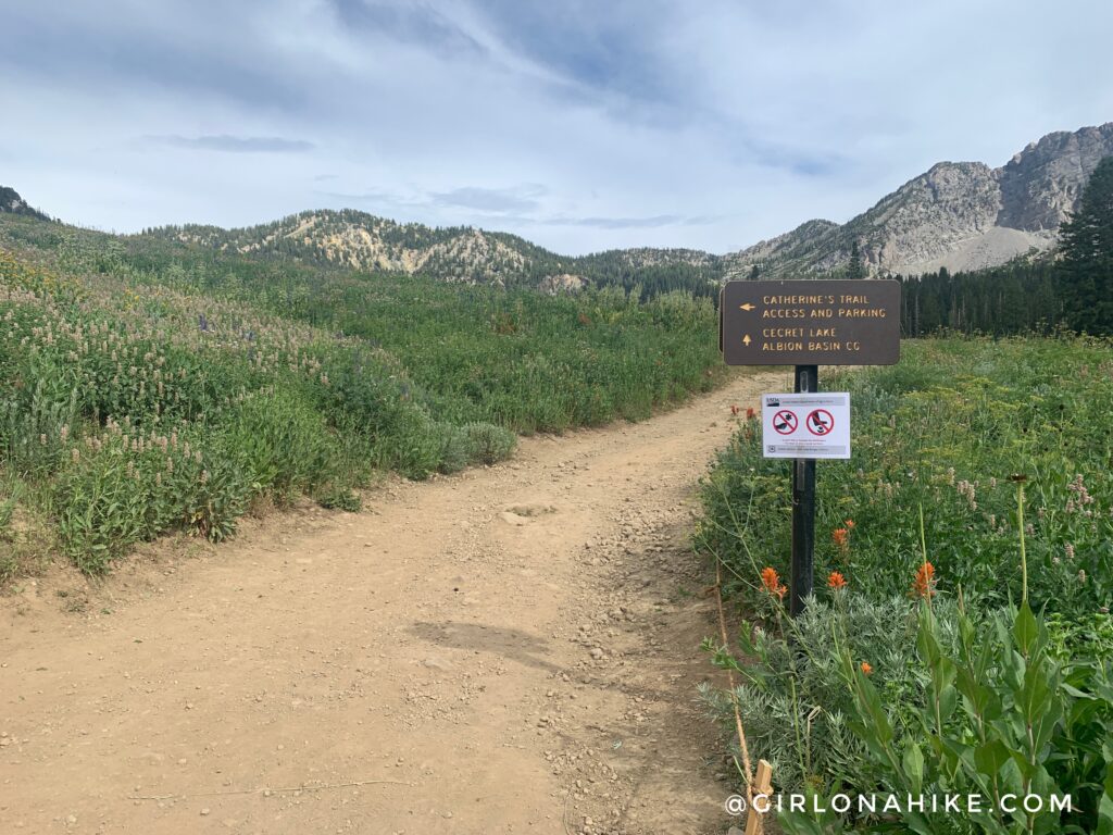 Hiking to Sunset Peak via Catherine Pass