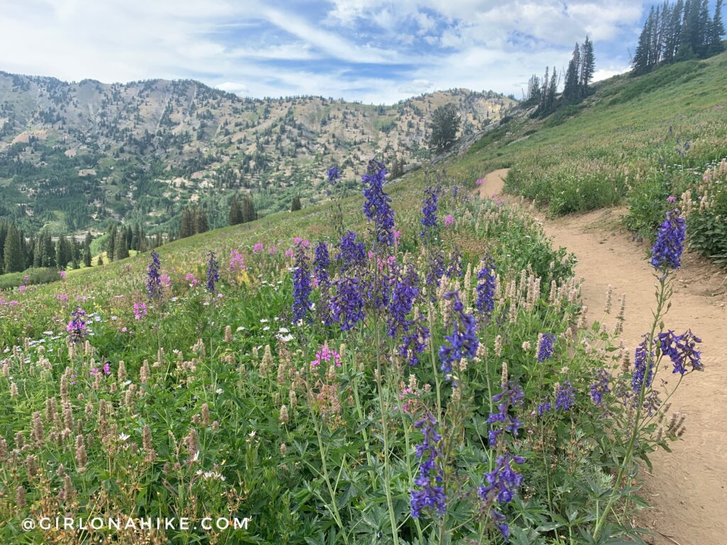 Hiking to Sunset Peak via Catherine Pass