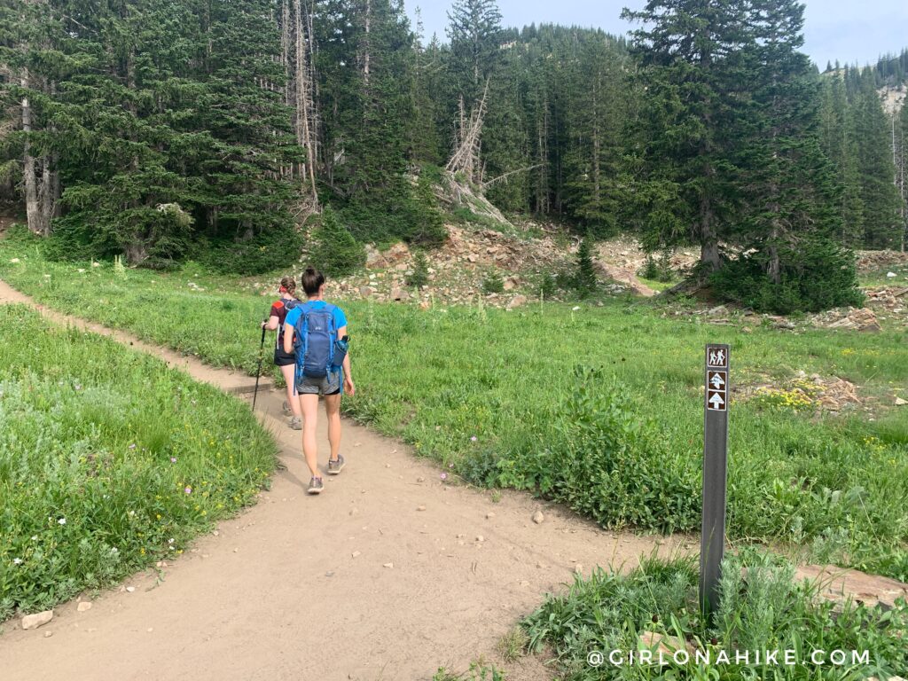 Hiking to Sunset Peak via Catherine Pass