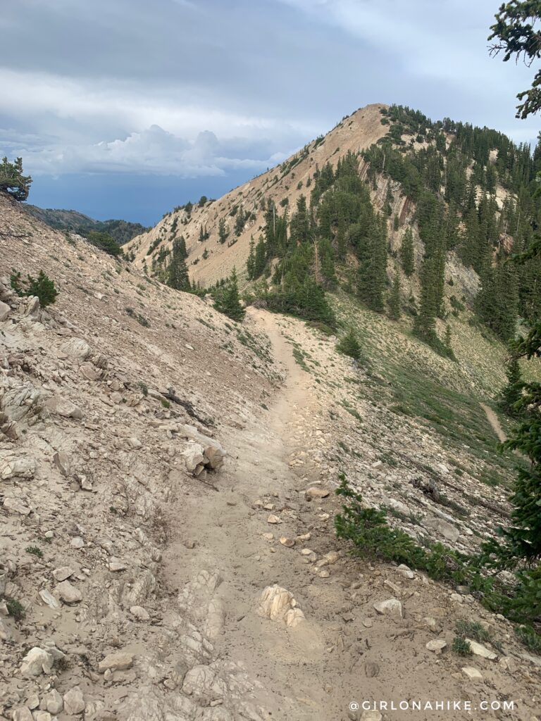 Hiking to Sunset Peak via Catherine Pass