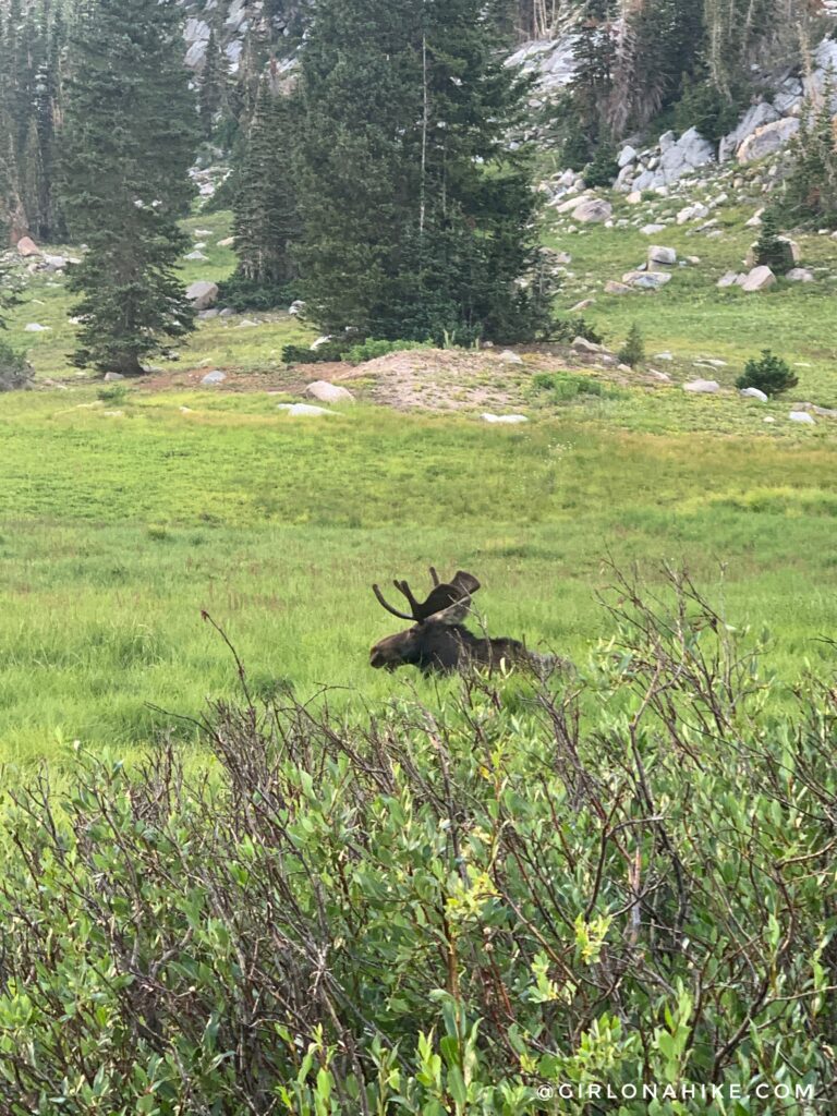 Hiking to Sunset Peak via Catherine Pass