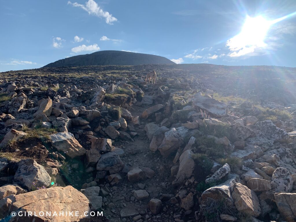 Hiking to Bald Mountain in the Uintas,