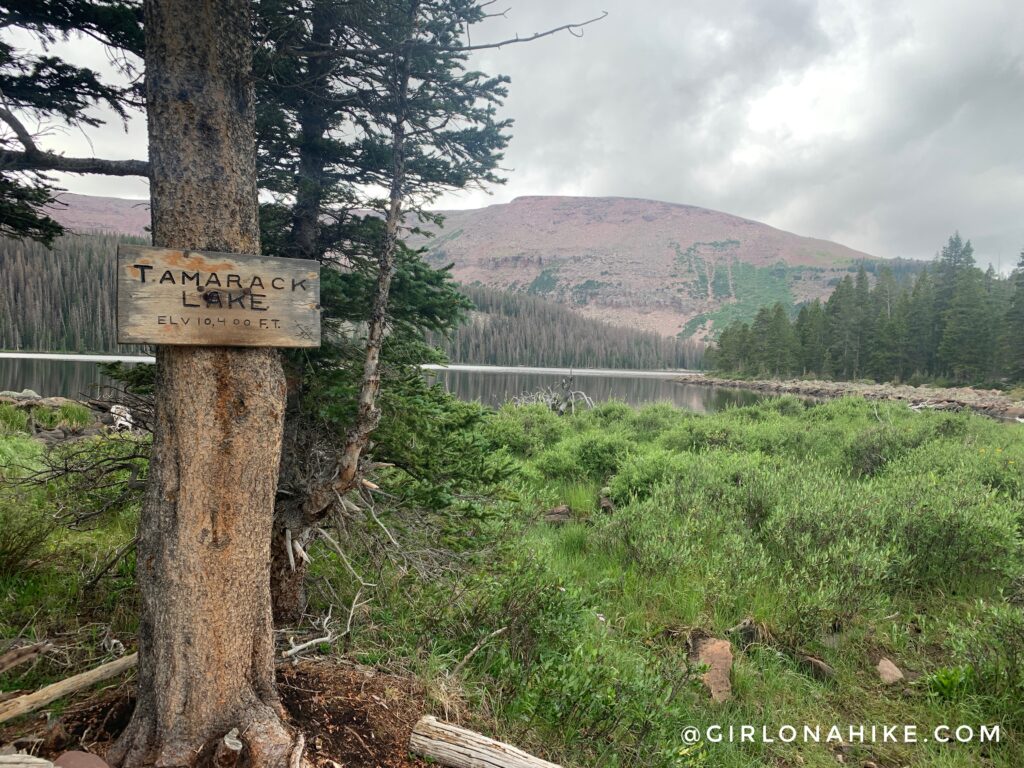 Spirit Lake, Tamarack Lake, Uintas