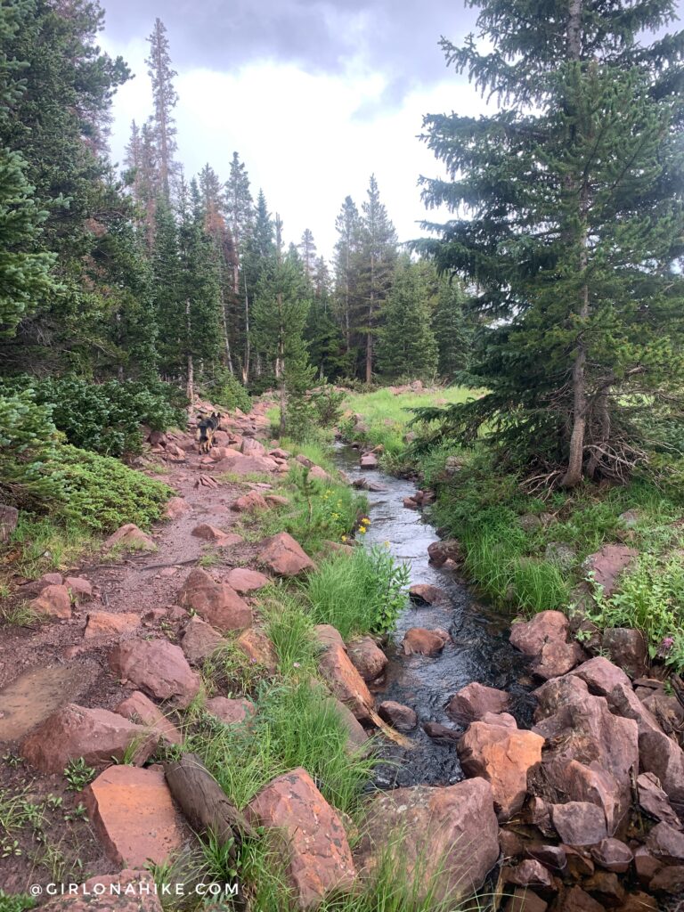 Spirit Lake, Tamarack Lake, Uintas