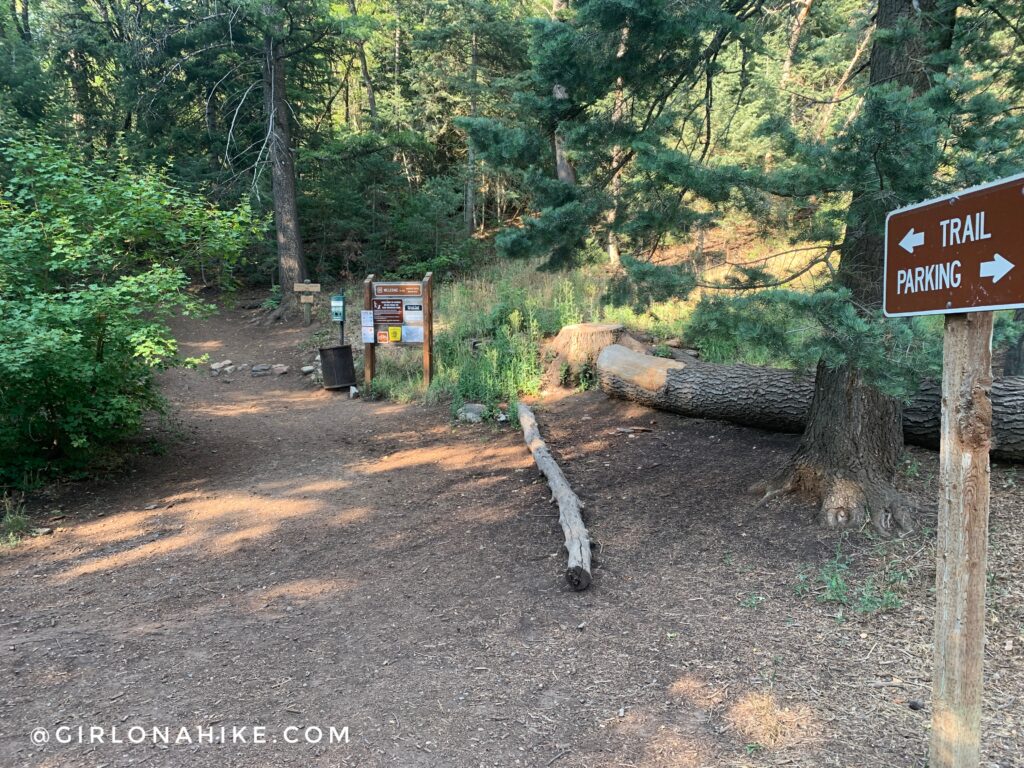 Hiking the Bowman Fork Trail