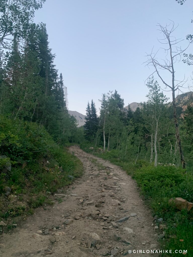 Hiking to White Pine Lake, Little Cottonwood Canyon