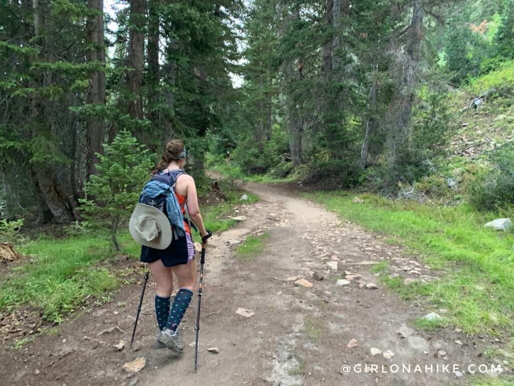 Hiking to White Pine Lake, Little Cottonwood Canyon