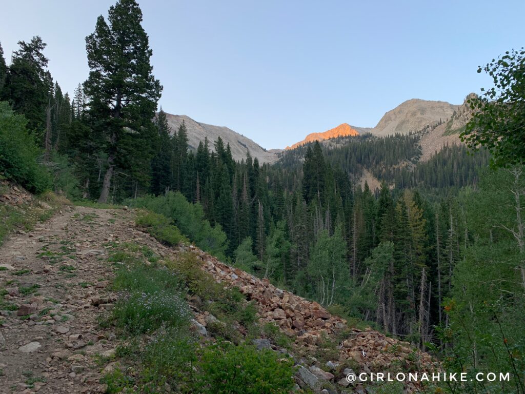 Hiking to White Pine Lake, Little Cottonwood Canyon