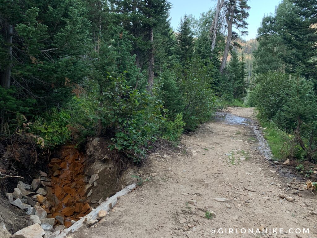 Hiking to White Pine Lake, Little Cottonwood Canyon