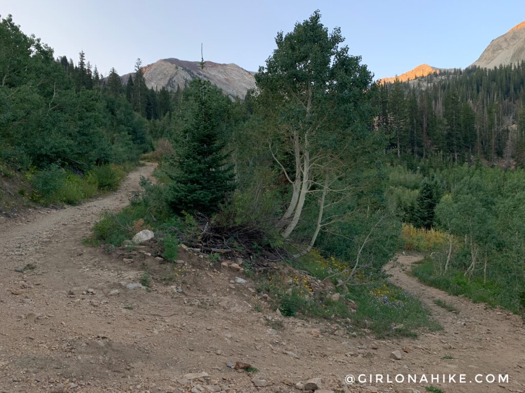 Hiking to White Pine Lake, Little Cottonwood Canyon