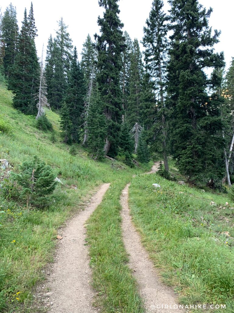 Hiking to White Pine Lake, Little Cottonwood Canyon