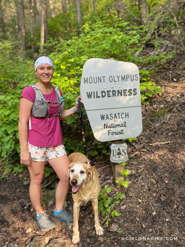 Hiking the Bowman Fork Trail