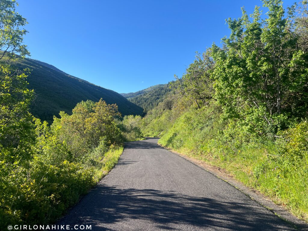 lambs canyon road