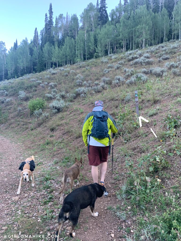 Hiking to Wyoming Peak, Wyoming Mountain Range