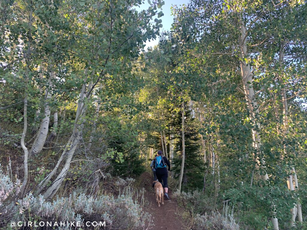 Hiking to Wyoming Peak, Wyoming Mountain Range