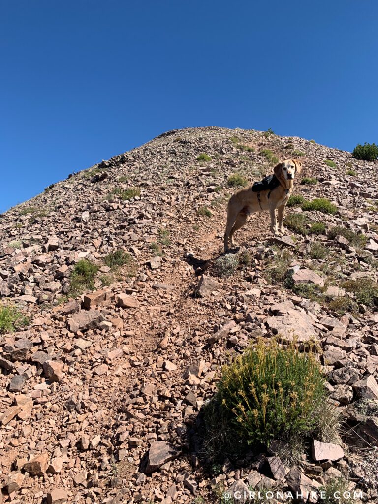 Hiking to Wyoming Peak, Wyoming Mountain Range