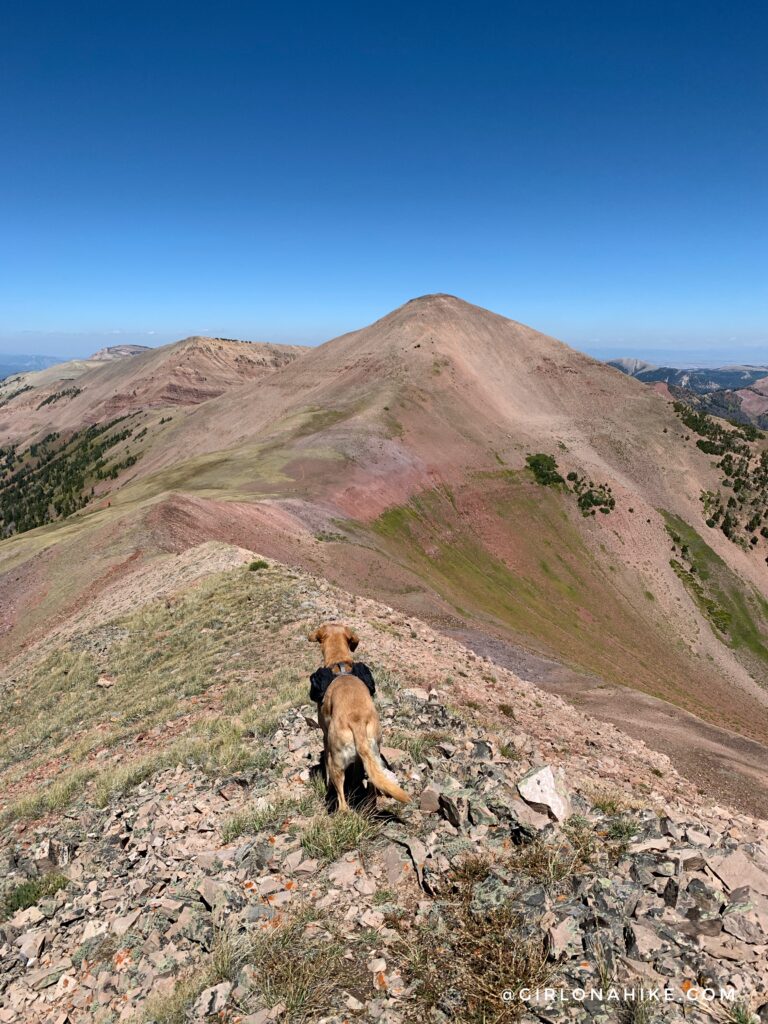 Hiking to Wyoming Peak, Wyoming Mountain Range