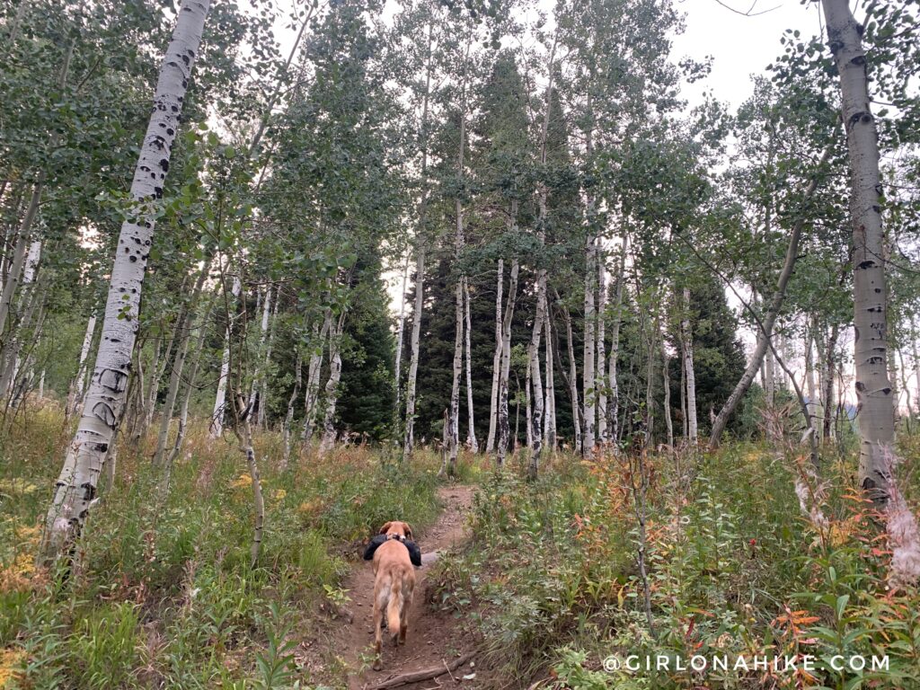 Hiking to Table Mountain, Wyoming