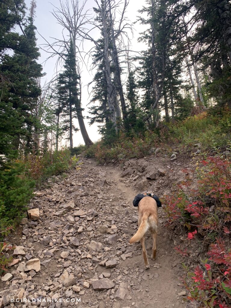 Hiking to Table Mountain, Wyoming