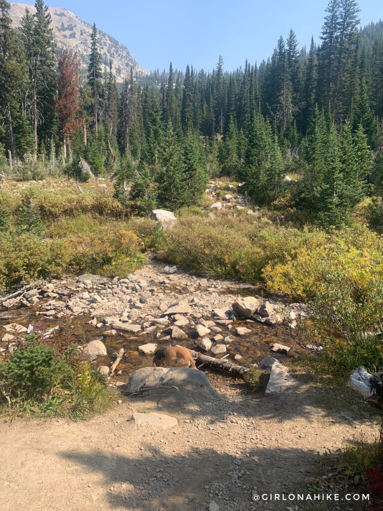 Hiking to Table Mountain, Wyoming