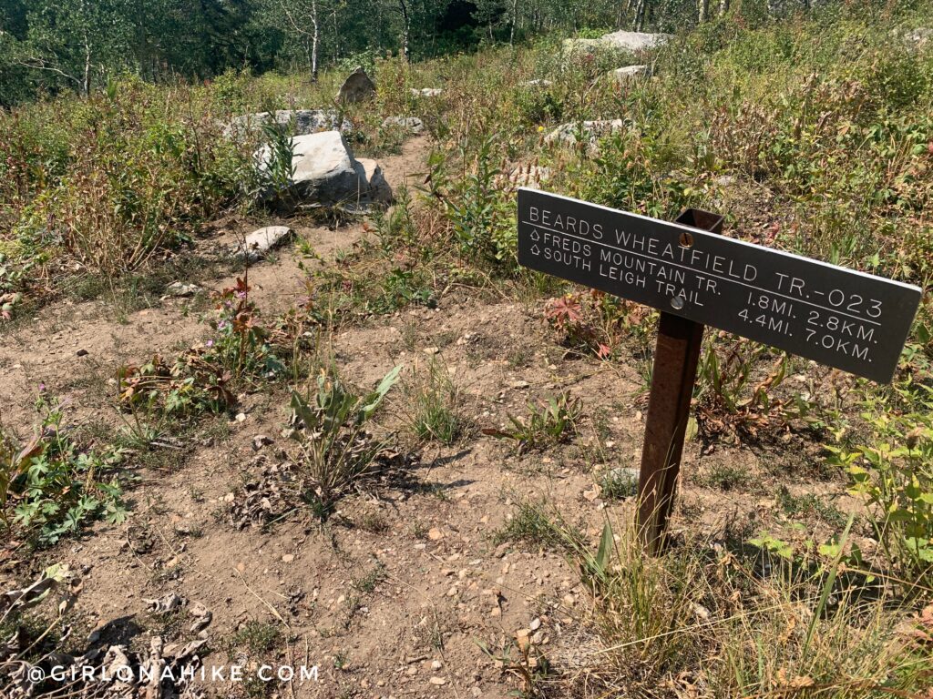 Hiking to Table Mountain, Wyoming