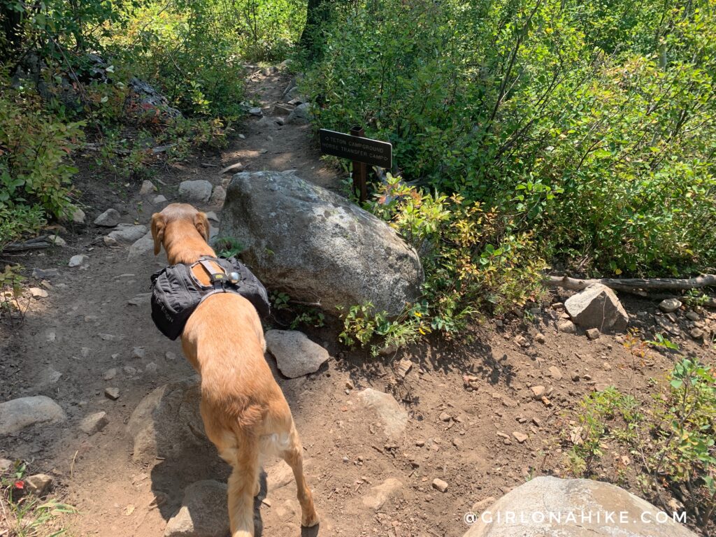 Hiking to Table Mountain, Wyoming