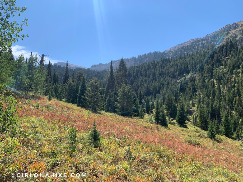 Hiking to the Darby Canyon Wind Caves, Wyoming