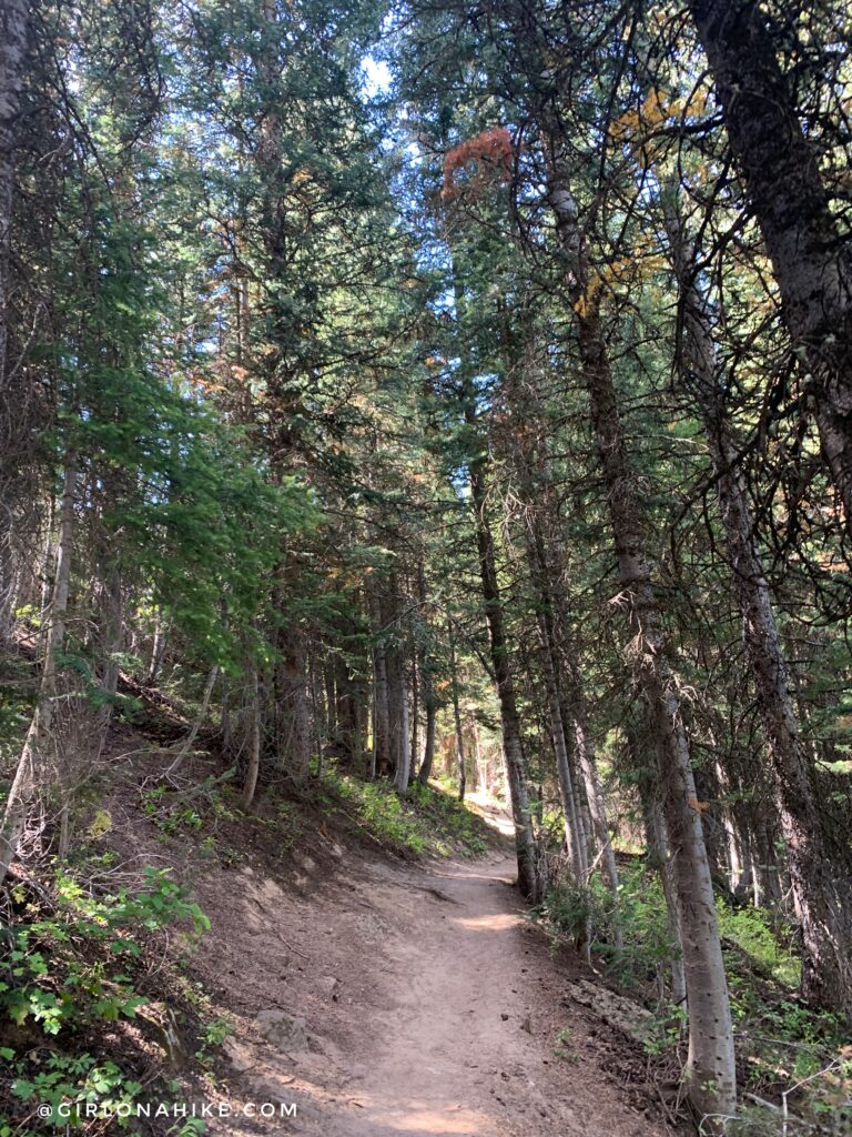 Hiking to the Darby Canyon Wind Caves, Wyoming