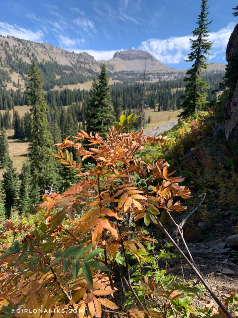 Hiking to the Darby Canyon Wind Caves, Wyoming