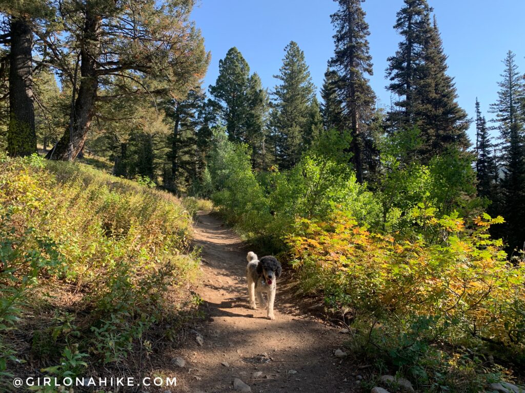 Hiking to Ski Lake, Wyoming