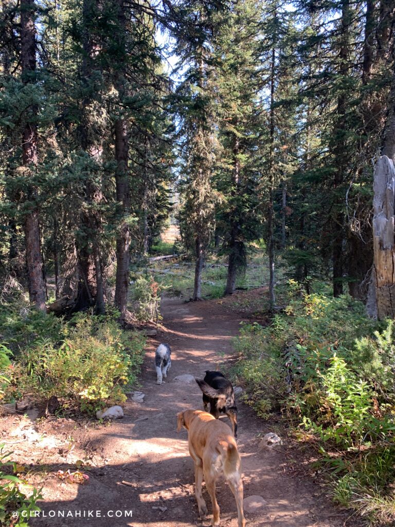 Hiking to Ski Lake, Wyoming