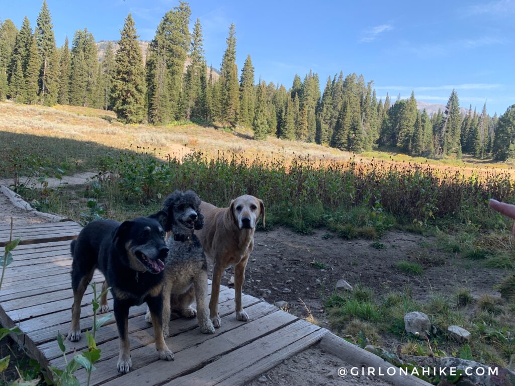 Hiking to Ski Lake, Wyoming