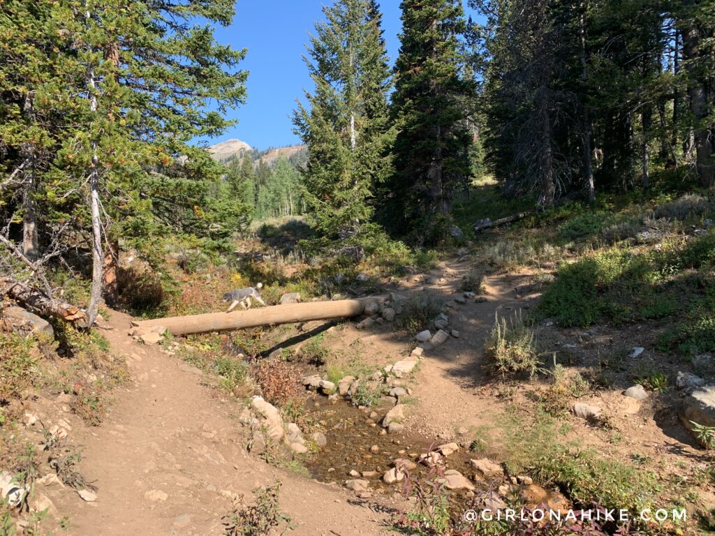 Hiking to Ski Lake, Wyoming