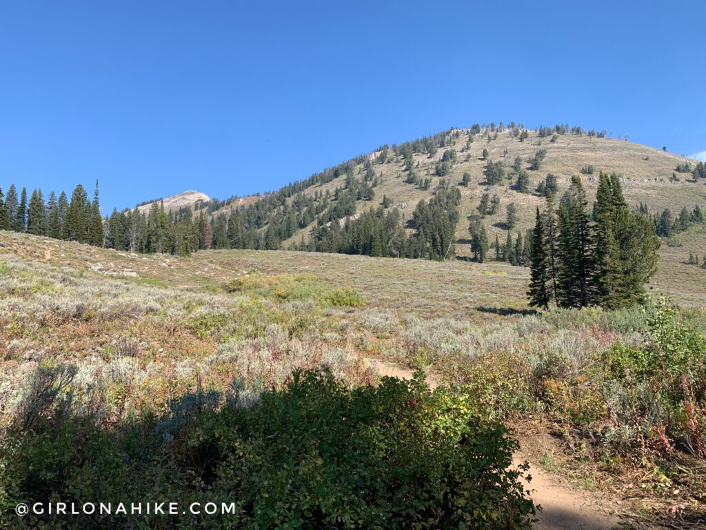 Hiking to Ski Lake, Wyoming