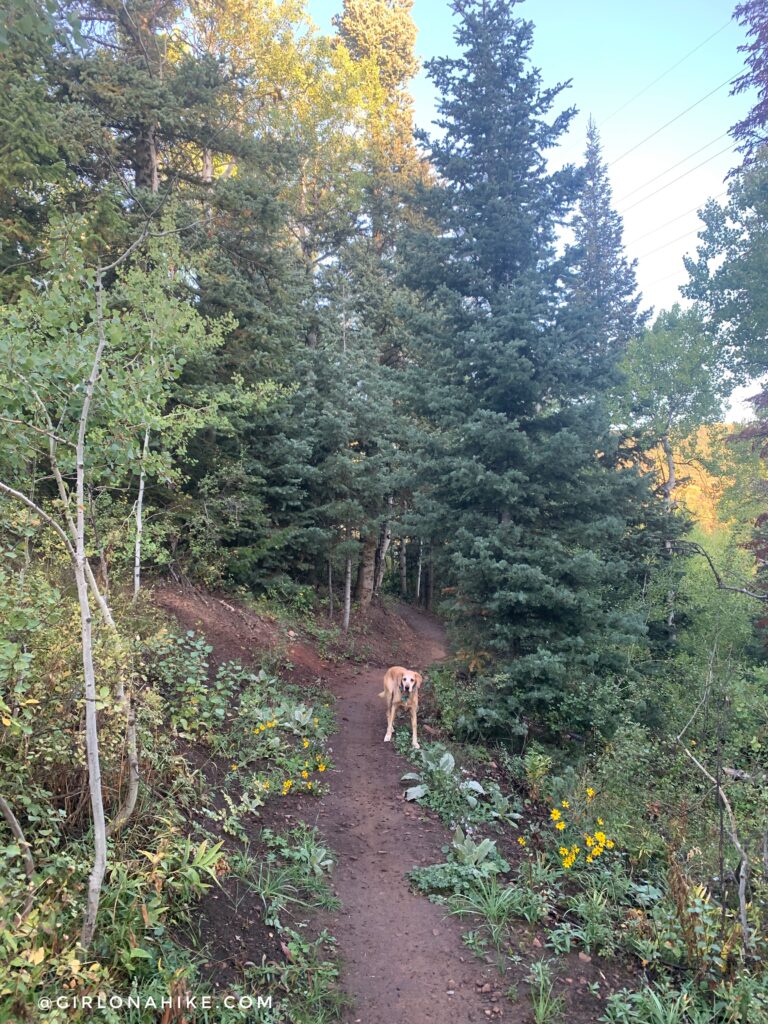 Hiking Toll Canyon, Summit Park