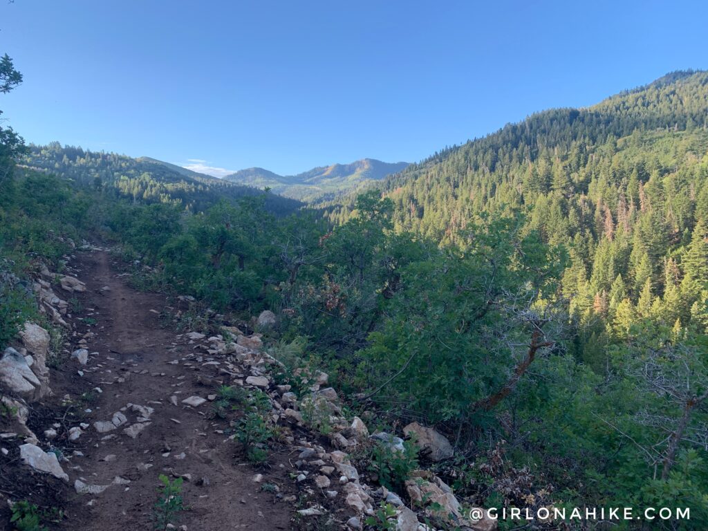 Hiking Toll Canyon, Summit Park