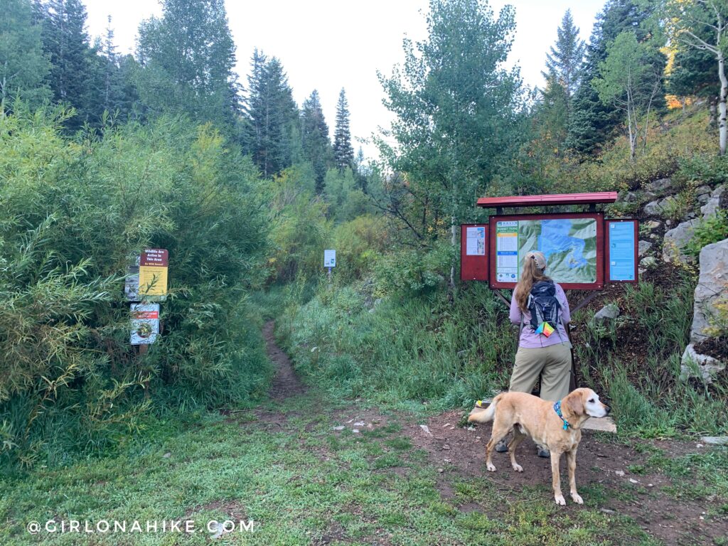 Hiking Toll Canyon, Summit Park