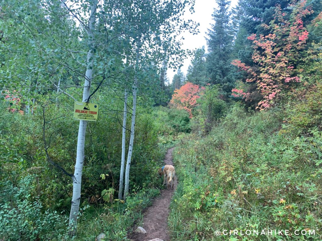 Hiking Toll Canyon, Summit Park