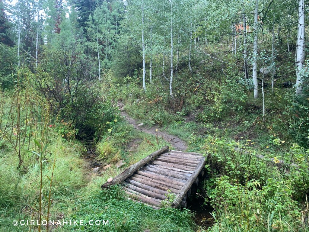 Hiking Toll Canyon, Summit Park