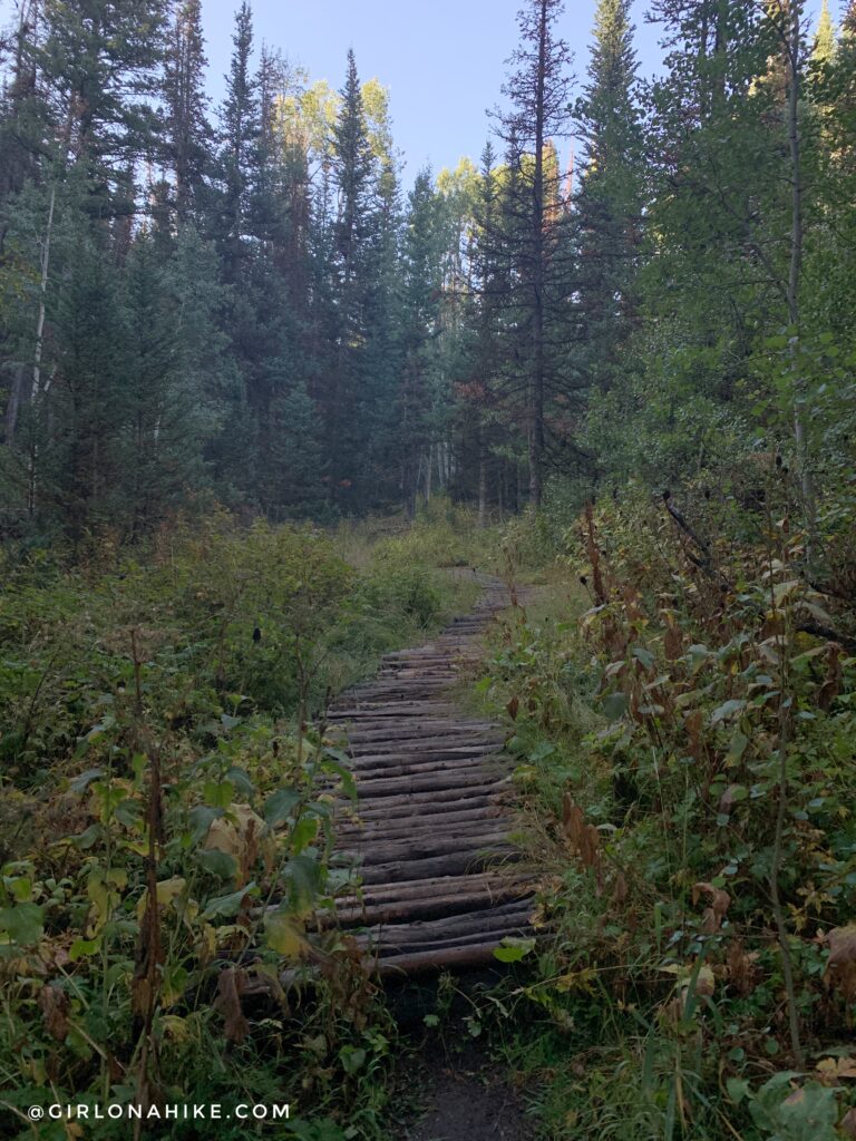 Hiking Toll Canyon, Summit Park