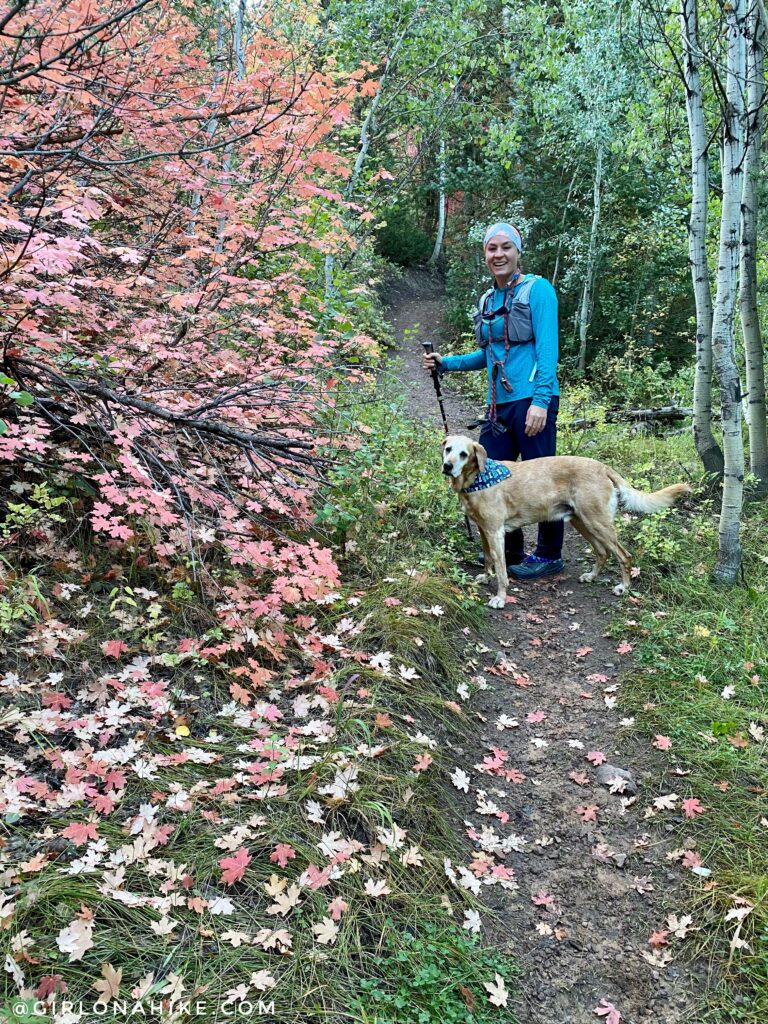 Hiking Toll Canyon, Summit Park