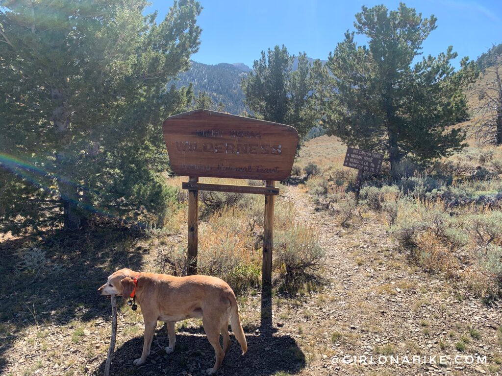 Hiking Mt.Moriah, Nevada