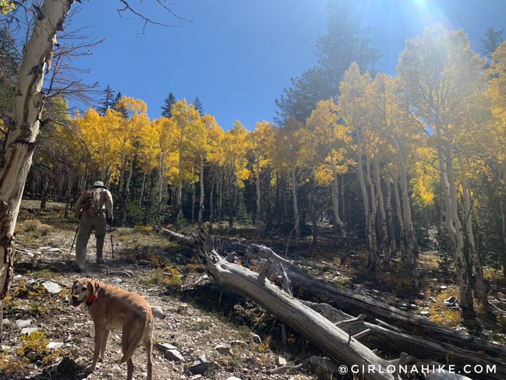 Hiking Mt.Moriah, Nevada