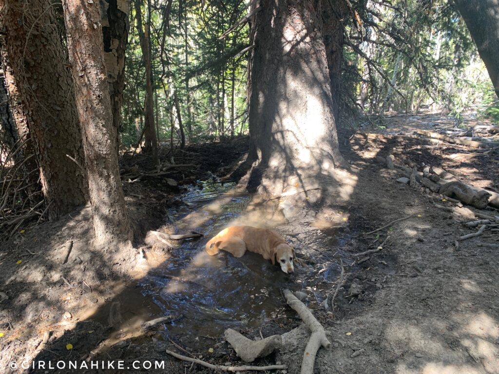 Hiking Mt.Moriah, Nevada