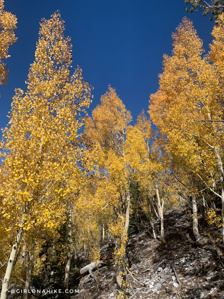 Hiking Mt.Moriah, Nevada