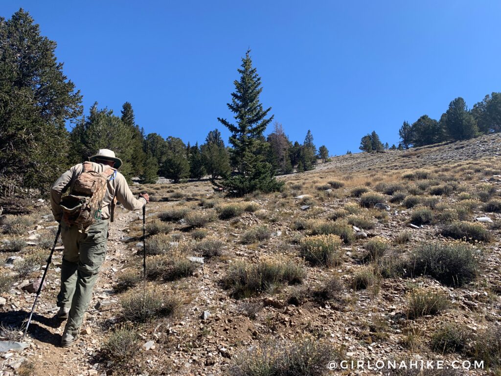 Hiking Mt.Moriah, Nevada