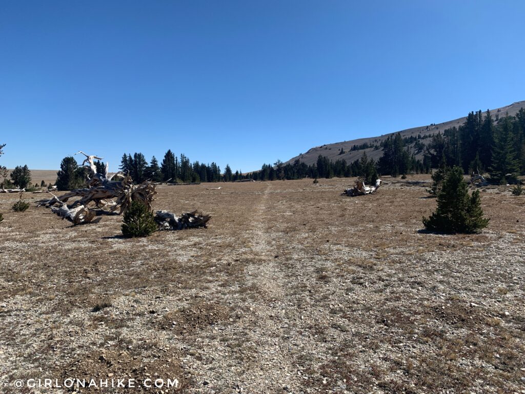 Hiking Mt.Moriah, Nevada